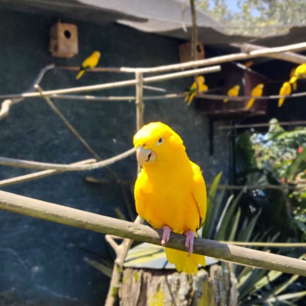 1abceb28-b0a4-4ee9-ac4a-61abebd82974